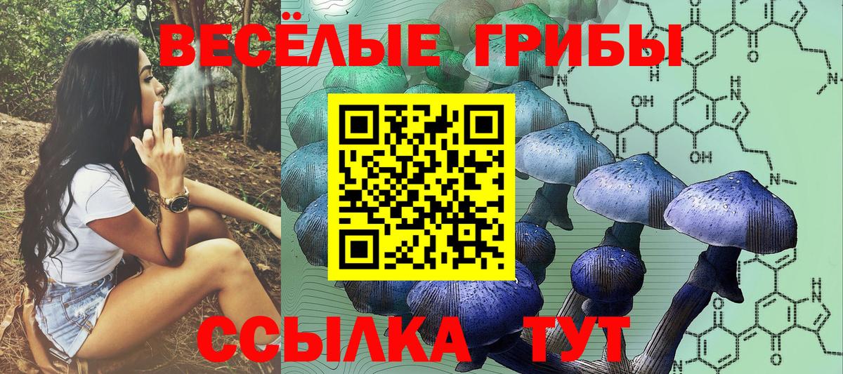 Псилоцибиновые грибы прущие грибы  Вход с VPN  Южно-Сахалинск  Галлюциногенные грибы GOLDEN TEACHER 