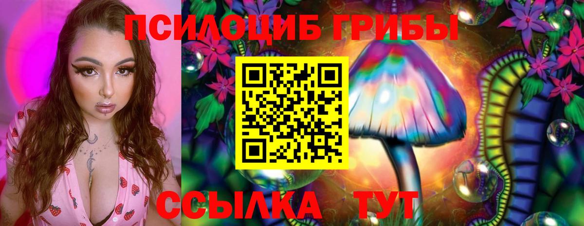 Псилоцибиновые грибы прущие грибы Южно-Сахалинск